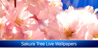 We did not find results for: Amazon Com Sakura Tree Live Wallpapers Apps Games