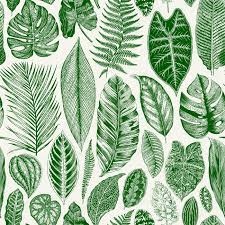 We did not find results for: Vector Seamless Vintage Floral Pattern Exotic Leaves Botanical Classic Illustration Green Royalty Free Cliparts Vectors And Stock Illustration Image 68272232