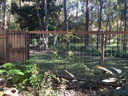 Which are perfect for residential or commercial property security measures. Borrowed Landscape Through A See Through Fence 100 X 100 X 5 Mm Galvanised Weld Mesh Backyard Patio Garden Yard Landscaping