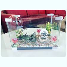for sale glass aquarium size 46x30x30 good condation price 13 bd للبيع حوض سمك زجاج مقاس 46x30x30 بحالة ممتازة ال container takeout container food
