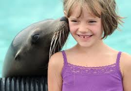 Photos: 2012 Nebraska State Fair