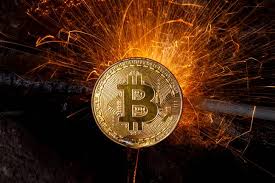 Your holdings would be worth today. How Much Money You D Have If You Invested 100 In Bitcoin Last Year