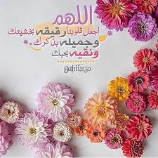 Pin On زهره
