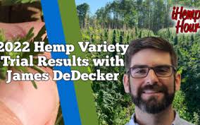 2022 Hemp Variety Trials Results With James DeDecker