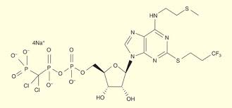 Image result for Cangrelor