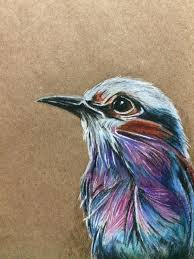 Birdie Bird Toned Tan Paper Art Illustration Colourful Sketch Sketchbook Artjournal Coloured Pencil Color Pencil Art Toned Paper Chalk Photos
