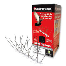How to keep birds from eating grass seed. Bird B Gone Enviro Spike 10 Ft X 5 In Stainless Steel Bird Spikes 100516567 The Home Depot