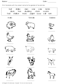 Farm Worksheets