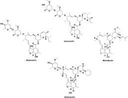 Learn about side effects, warnings, dosage, and more. Ivermectin An Overview Sciencedirect Topics