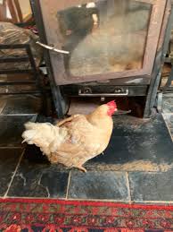 He says whatever resources might be needed, the government will make sure that the fiscal framework is not broken. Tito Mboweni On Twitter These Ones Decided To Come Into The House Eff Tendencies Hayibo