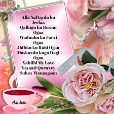 #love photos #landscape #lensblr #follow me #camera #canon photos #canon #canon eos 6d daawo sawirada beerta ugu weyn dunida ee lagu beero ubaxyo. 23 Jaceyl Ideas Somali Quotes Love Sms My Love