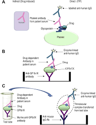 Image result for Drug Induced Platelet Dysfunction
