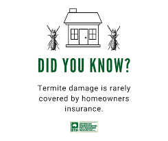 Insurance product(s) issued by insurance manufacturers of australia abn 93 004 208 084 afs licence no. Aepma ð——ð—¶ð—± ð˜†ð—¼ð˜‚ ð—¸ð—»ð—¼ð˜„ Termite Damage Is Rarely Covered By Homeowners Insurance This Is Why Investing In A Reliable Termite Management System Is Essential To Keeping Your Home Safe Facebook