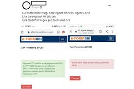 Namun, keputusan ini masih menunggu kepastian anggaran kementerian keuangan. Pagi Dinyatakan Dapat Blt Umkm Sore Jadi Tidak Terdaftar Begini Penjelasan Bri Halaman All Kompas Com