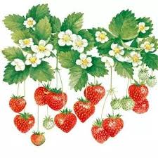 Pin Von G Kortekaas Auf Leuke Tekeningetjes Mit Bildern Ausschneidebild Decoupage Papier Erdbeeren Garten