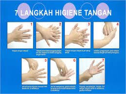 Telapak tangan menjadi salah satu media penularan penyakit yang paling banyak. Image Result For 7 Langkah Cuci Tangan Mencuci Tangan Tangan Kesehatan
