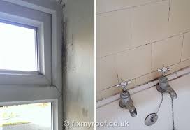 Check spelling or type a new query. How To Cure Condensation Free Top 10 Tips To A Condensation Cure