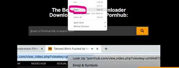 How to Download Videos from Pornhub on Different Devices 2023