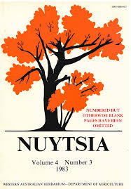 Image result for Erythrocephalum decipiens