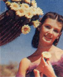 Cactus Forest Drive, Saguaro National Monument, by Southwestern Monuments  Association—a Project Gutenberg eBook