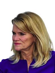 Factbase Transcripts