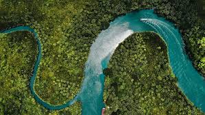 A river is a large natural stream of water that flows over land. River Cruises Cruise Types Steppes Travel