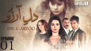 Dil Arzoo