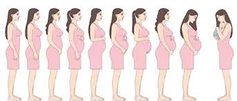 This article presents all the changes that may happen to the body of a pregnant woman, with a detailed, week by week break up. Body Changes During The 9th Month Of Pregnancy India Parenting