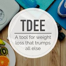 Tdee Calculator Easily Calculate Your Daily Calorie Needs