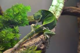 Zoo Zajac In Duisburg Ein Erlebnis Fur Die Ganze Familie Zoo Tierhandlung Vogelfutter Kaufen