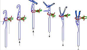 Maybe you would like to learn more about one of these? Loop Formation Sequence Knitting Anction And Knitting Cycle à¦¬ à¦² à¦¯ Steemit