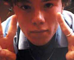 Edvin Ryding: 14 facts about the Young Royals actor you need to know