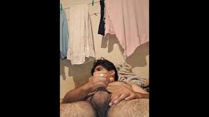 Paja del dia