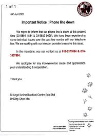 Regular visits to the veterinarian can help your pet in staying safe and healthy. St Angel Animal Medical Centre Home Facebook