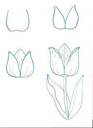 Learn how to draw a rose with simple step by step instructions. How Draw Flowers Step By Step Danquahinstituteorg Step By Step Drawing Drawing Tips Flowers Drawingtips Flower Drawing Easy Drawings Tulip Drawing