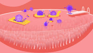 Here are 2 recommended ways to increase levels of butyrate: Butyrate Foods What Foods Contain Butyrate And Butyrate Benefits