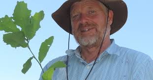 Westwood​​​Growers llc