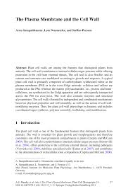 It helps in protecting the protoplasm and checks the passage of molecules inside the cell, though cell wall is found in the plant cell, fungi, bacteria only and protects the cell from external shocks, and provide rigidity and shape to. Pdf The Plasma Membrane And The Cell Wall