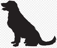 Golden Retriever Labrador Retriever Neufundlander Welpen Kostenlose Foto Strand Meer Kuste Sand Ozean Dog Silhouette Golden Retriever Silhouette Labrador Dog