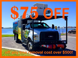 Maybe you would like to learn more about one of these? Palm Harbor Tree Service Tree Trimming Removals 100 Free Estimate