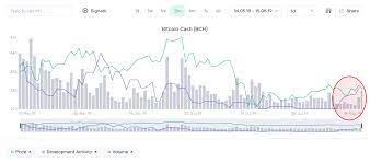 Bitcoin cash (bch) brings sound money to the world. Bitcoin Cash Defies Market Santiment Community Insights