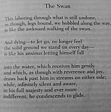 Rilke Rainer Maria Rilke The Swan Poetry Quotes Pinterest Prose Poetry Poetry Quotes Poetry