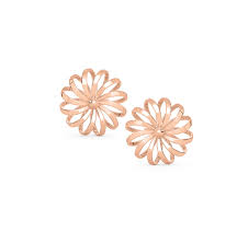 نتیجه جستجوی لغت [studs] در گوگل