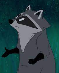 Meeko is a supporting character in Disney's 1995 animated feature film  Pocahontas and its 1998 sequel. He is Pocahon… | Disney art, Disney  animals, Disney sidekicks