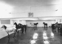 We The Italians Italian Art Wonders From Arte Povera