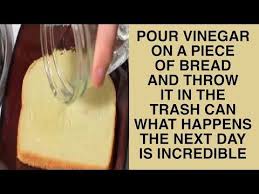 Home Youtube Cleaning Recipes Vinegar Cleaning Cleaner Recipes