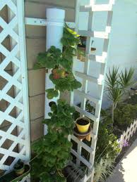 Maybe you would like to learn more about one of these? Pvc Pipe Strawberry Tower Pvc Pipe Strawberry Planter Garden Org
