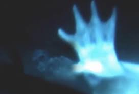 Ale czy są one mityczne. 8 Zdjec Ktore Rzekomo Przedstawiaja Syreny Najgorsze Jest To Ze Miliony Internautow W To Uwierzy Joe Monster