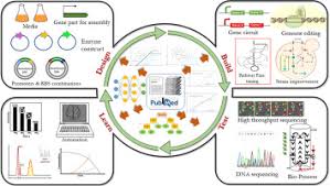 Image result for vivek gyan 7.0