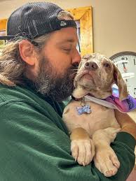 Meet Lucy! She is my 11 week old (lilac harlequin) puppy! I'm a little  concerned about how red and puffy her eyes are. Do we need to see a vet  before our